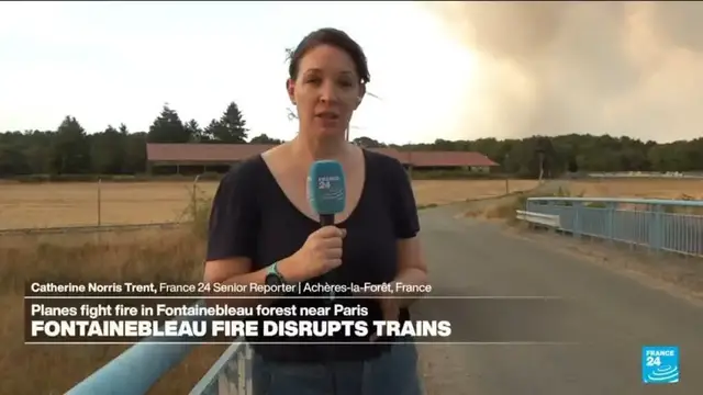 Video thumbnail for Two arrested as Fontainebleau forest near Paris ravaged by fire, prompting evacuations