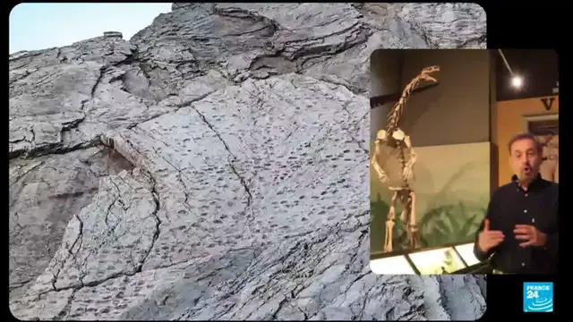 Video thumbnail for Italy: Thousands of dinosaur footprints discovered near Winter Olympics site
