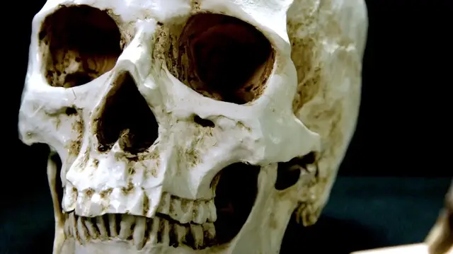 Video thumbnail for Europe's Stone Age to farming: violence marked the transition