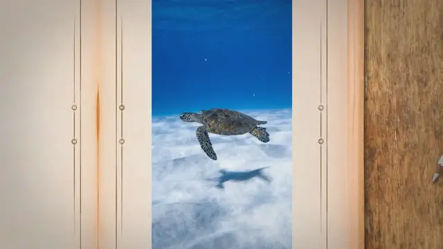 Video thumbnail for Do Snapping Turtles Attack Humans? Understanding Their Behavior and Potential Threat to Humans