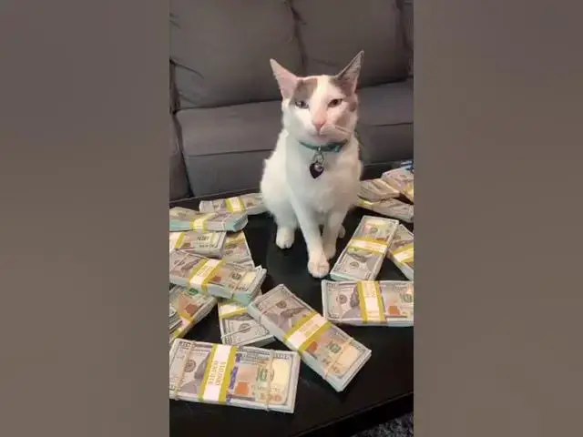 Video thumbnail for Luxury Lifestyle 2