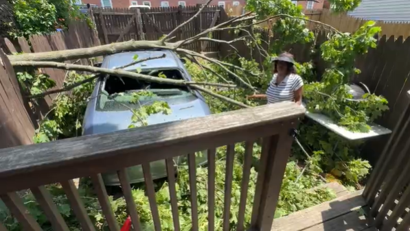 Video thumbnail for Downed tree upends life of Bridgeport woman whose car was crushed by heavy branches