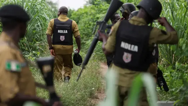 Video thumbnail for Nigeria dismantles its largest meth lab as Mexican cartel push into country