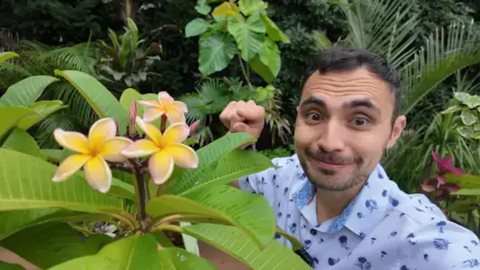 Video thumbnail for How to keep bugs OUT when you bring your favorite patio plants inside the house this winter