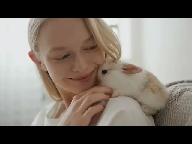 Video thumbnail for Rabbits  Videos