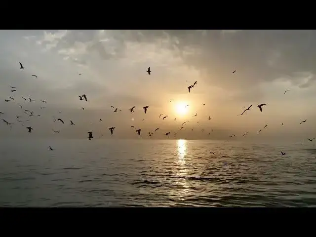 Video thumbnail for Sunset at river