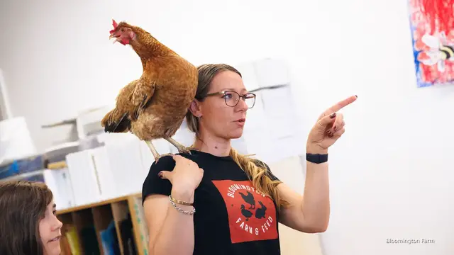 'Video thumbnail for America's backyard chicken boom explained'