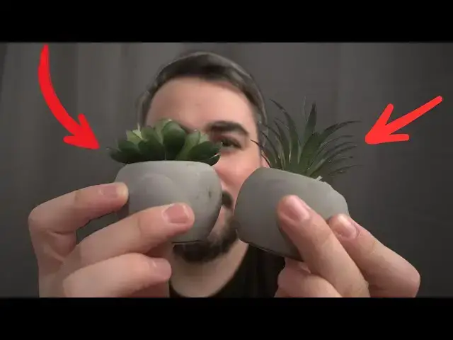 Video thumbnail for Artificial Mini Potted Succulents review