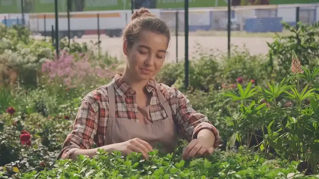 Video thumbnail for EasyCare Evergreen! Low-Maintenance Shrubs