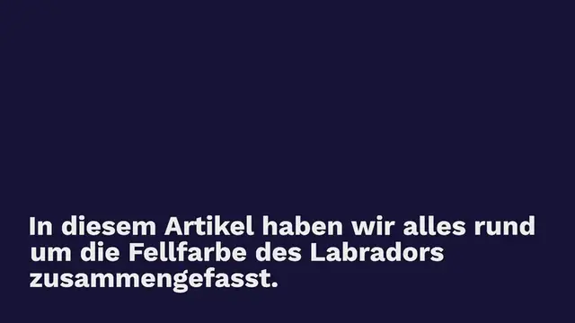 Video thumbnail for Labrador Farben