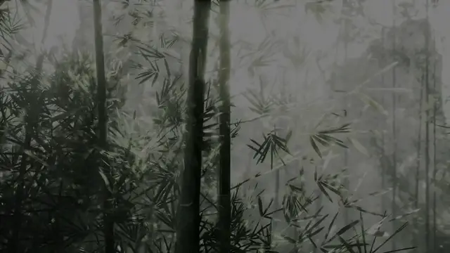 Video thumbnail for  Benefits of Bamboo Flooring