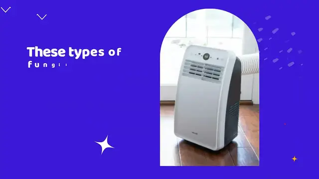 Video thumbnail for How to Get Rid of That Gross Smell Coming From Your Portable AC - Fast