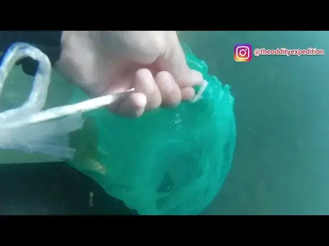 Video thumbnail for I help clean the red sea from rubbish