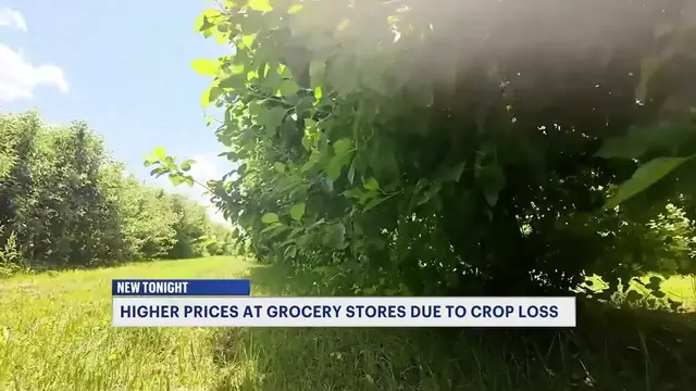 Video thumbnail for 'The worst we've ever had.' April freeze triggers $300M blow to New Jersey agriculture