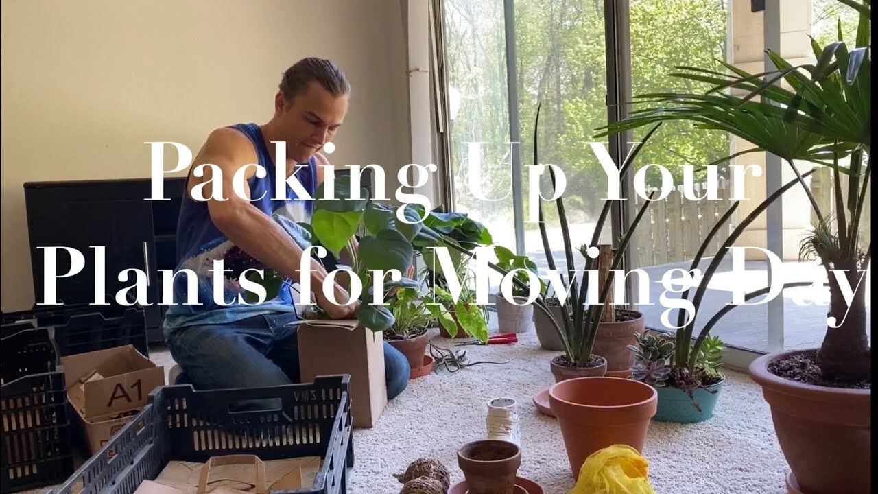 Video thumbnail for Moving Day: Keep Your Plants Safe while Moving