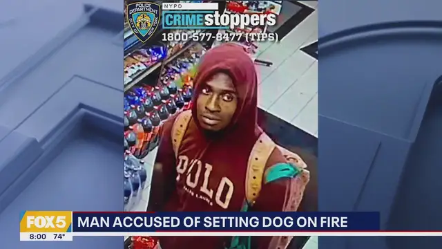 Video thumbnail for Man accused of setting dog on fire, Summer Streets kicks off | Good Day Weekend