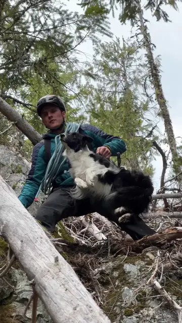 Video thumbnail for Climber Carefully Carries Dog Down Steep Mountain Gully