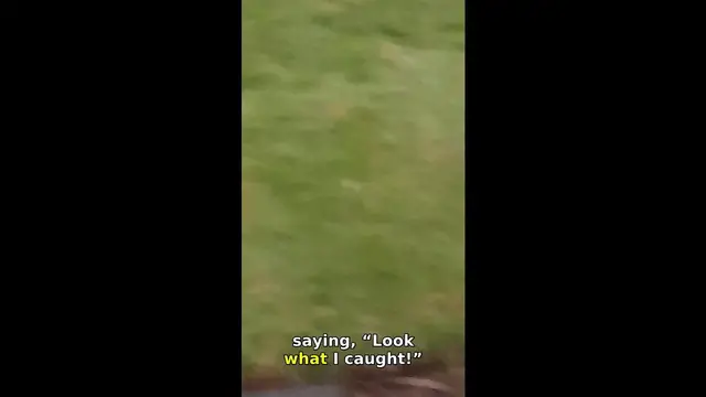 Video thumbnail for Cat Brings Home Bath Sponge in Doncaster
