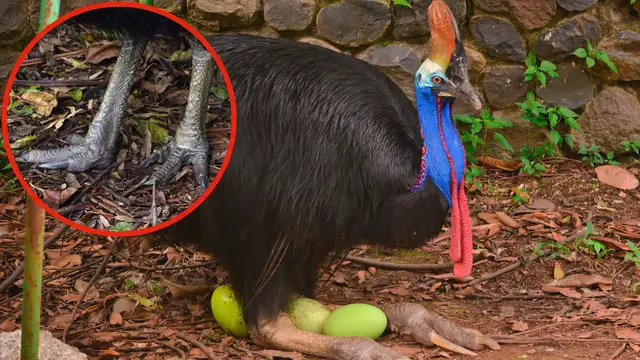 Video thumbnail for 10 Really Interesting Food Facts
