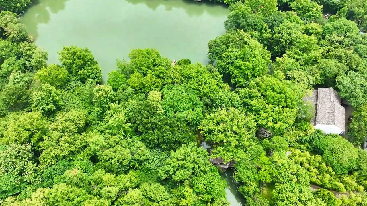 Video thumbnail for China: Xixi Wetland 2.
