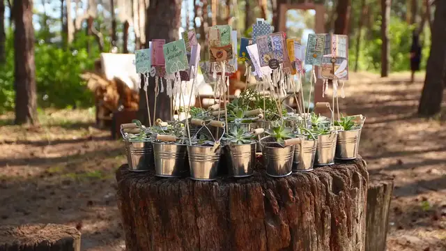 Video thumbnail for DIY Succulent Planter Ideas