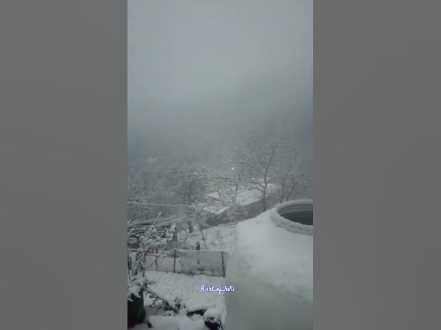 Video thumbnail for मां कुलदेवी मां स्याही देवी । की पहली बर्फ बारी #trending #viralvideo #almoravideo