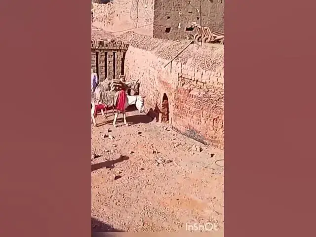 Video thumbnail for Brick manufacturing in Pakistan