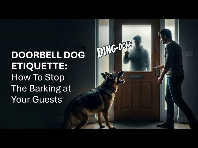 Video thumbnail for 5 Strategies to Stop Your Barking Dog When Doorbell Rings
