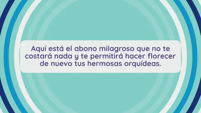 Video thumbnail for Orquídeas, el abono sin coste: nunca vistas tan frondosas
