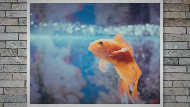 Video thumbnail for The African Pike Characin: A Fascinating Aquatic Predator