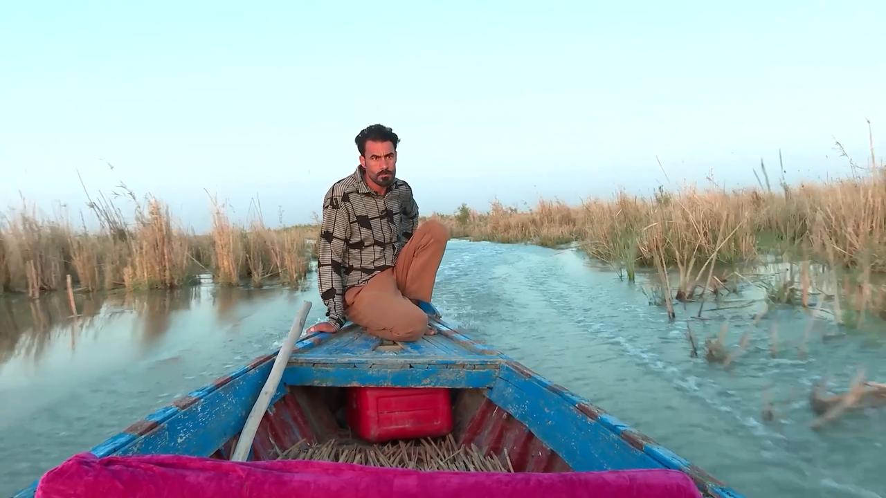 Video thumbnail for Iraq: Iraq’s southern Ahwar Marshes revived by recent rainfall.