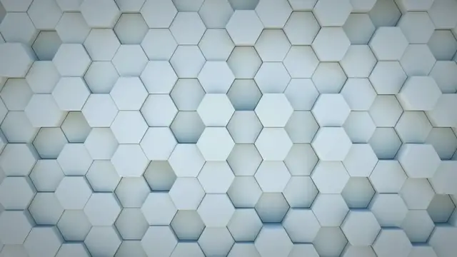 Video thumbnail for Can dogs eat curry? - Easy Spaniel Training