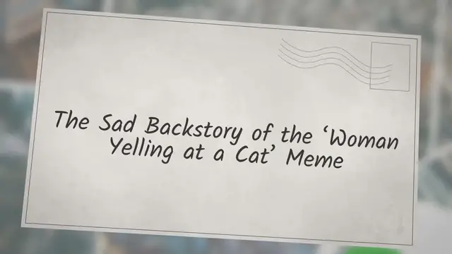 Video thumbnail for The Sad Backstory of the ‘Woman Yelling at a Cat’ Meme