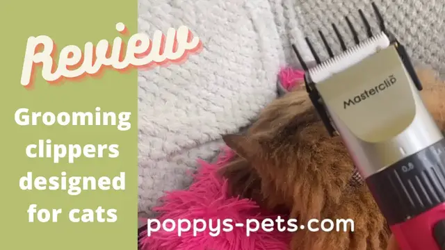 Video thumbnail for The Clippers: A Good Choice for Your Feline Friend