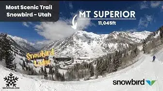 Video thumbnail for Most Scenic Run at Snowbird with 12" of POWDER | 4K | Utah