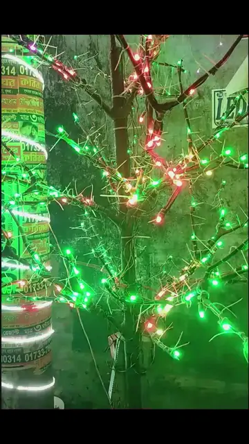 Video thumbnail for Tree Lighting Looking So Amazing