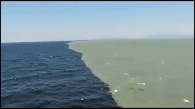 Video thumbnail for Gulf of Alaska