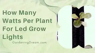 Video thumbnail for How Many Watts Per Plant For Led Grow Lights
