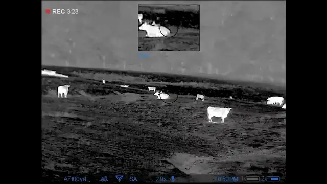 Video thumbnail for Using coyote hunting for farm protection.