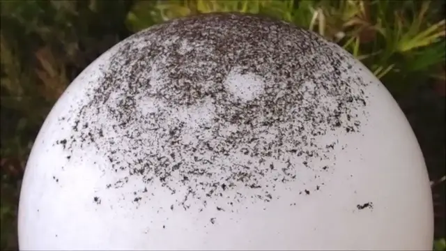 Video thumbnail for Lavastaub auf La Palma