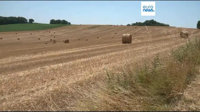 Video thumbnail for French government activates new 'extreme heat' Orsec plan as temperatures rise