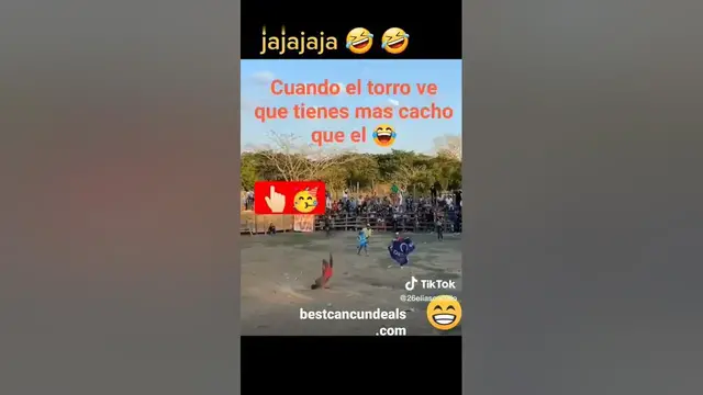 Video thumbnail for Cuando el #toro es más inteligente 🧠🙀😱😅😂😂😂#shorts