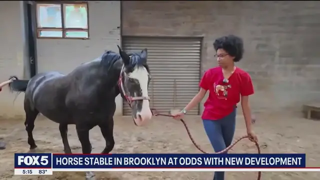Video thumbnail for Brooklyn horse stable at odds with new development