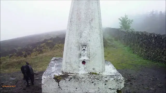 Video thumbnail for A wet day exploring the fell. Cotton grass, cycle damage to the tracks and two wet Cocker spaniels