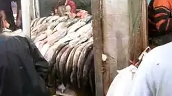 Video thumbnail for Shopping in the INA Market Delhi for our 2008 Christmas Dinner