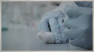 'Video thumbnail for The History of Animal Testing '