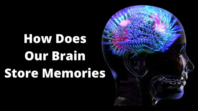 Video thumbnail for How Memory Works The Secrets Our Brain Keeps