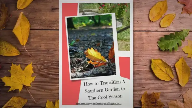 Video thumbnail for Transitioning A Southern Garden To The Cool Season
