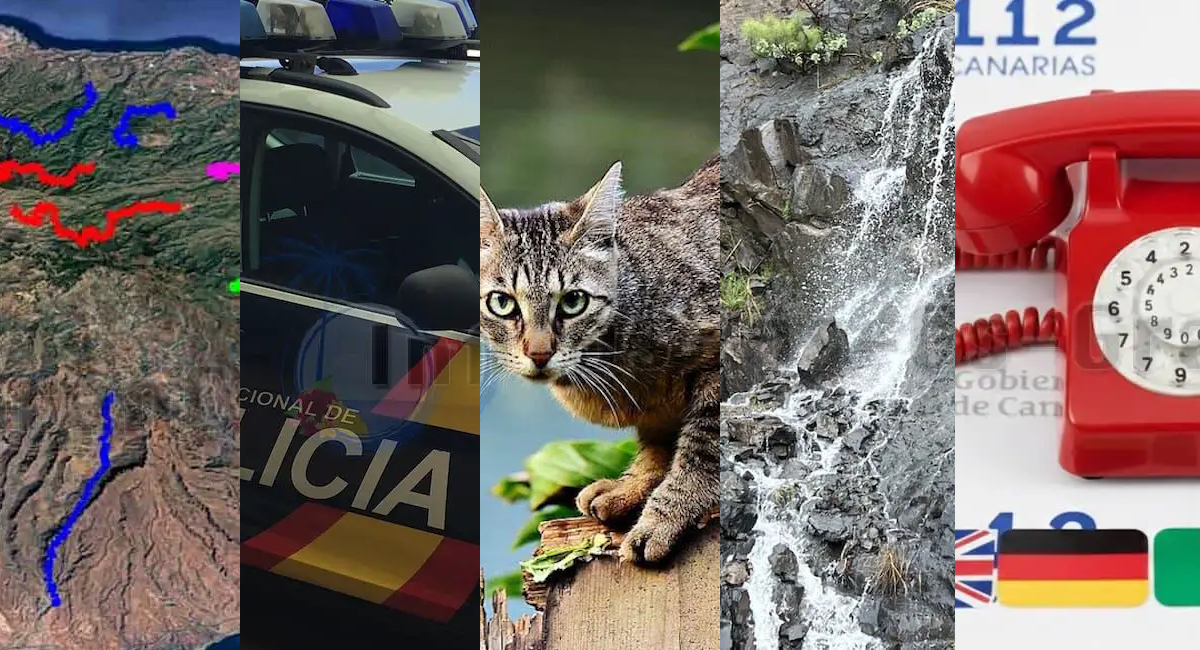 Video thumbnail for Gran Canaria Wochenrückblick vom 15. Februar 2026