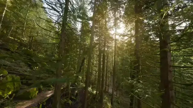 Video thumbnail for Spring Outside